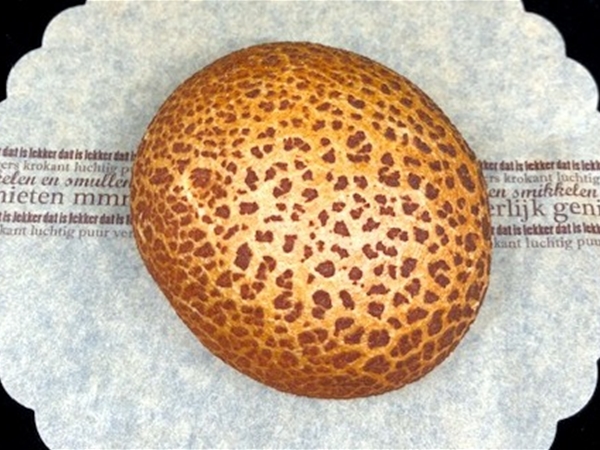 Tijgerbol&nbsp;tijgerbol